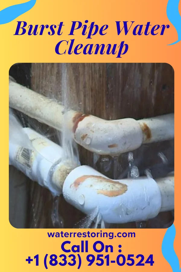 Burst Pipe Water Cleanup in Earl Park, IN