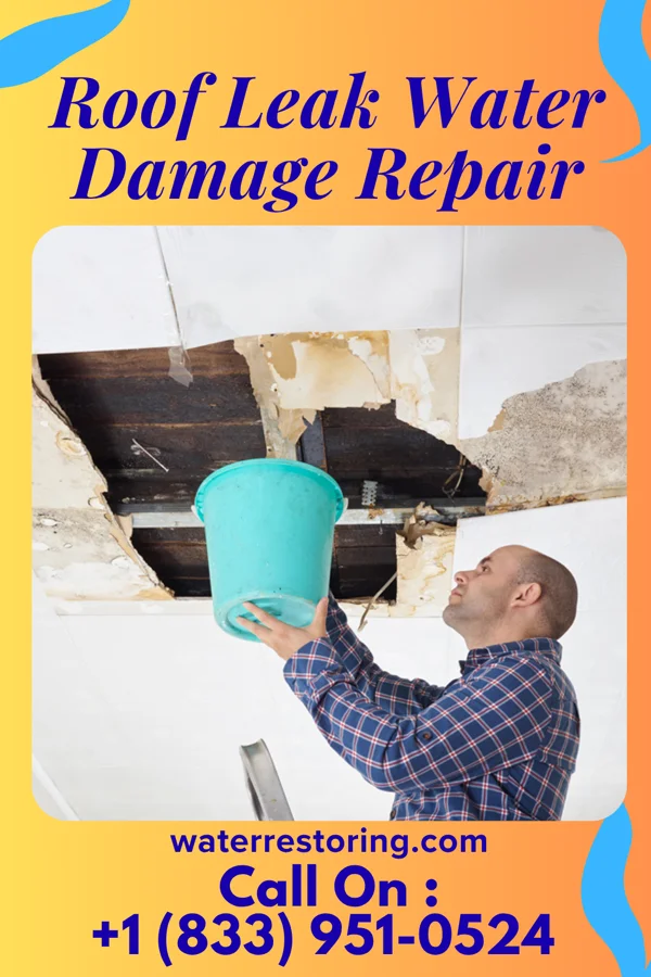 Roof Leak Water Damage Repair in Earl Park, IN