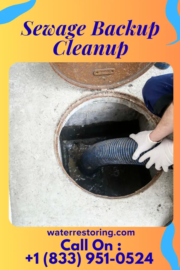 Sewage Backup Cleanup in Earl Park, IN