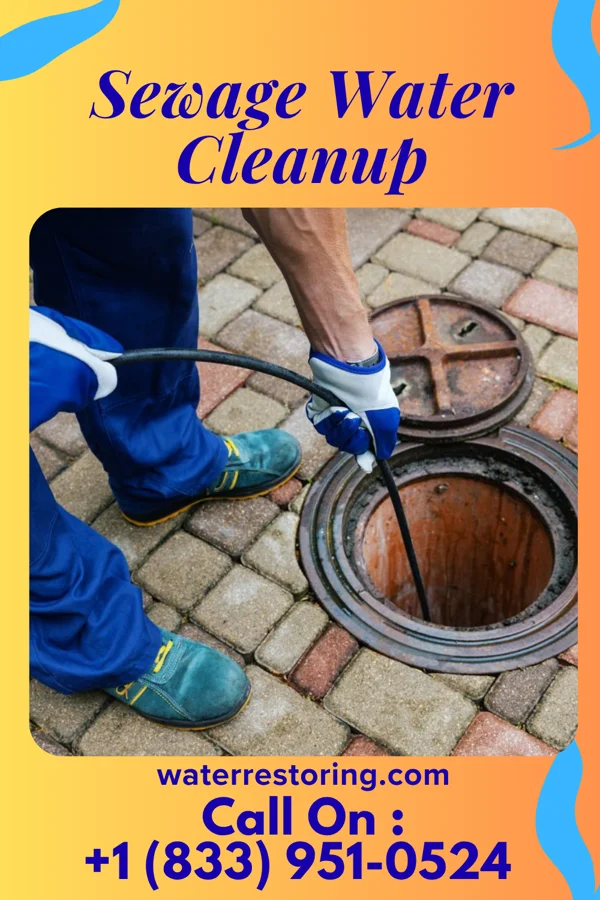 Sewage Water Cleanup in Earl Park, IN