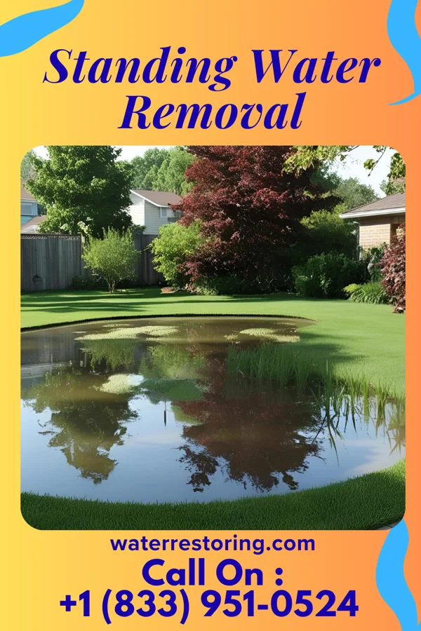 Standing Water Removal in Earl Park, IN